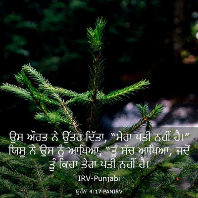 Picture 03 - ਯੂਹੰਨਾ 4:17 PANIRV - ਉਸ ਔਰਤ ਨੇ ਉੱਤਰ - Bible Verse Picture