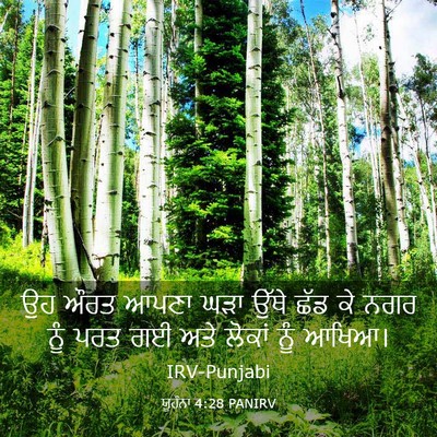 Picture 03 - ਯੂਹੰਨਾ 4:28 PANIRV - ਉਹ ਔਰਤ ਆਪਣਾ ਘੜਾ - Bible Verse Picture