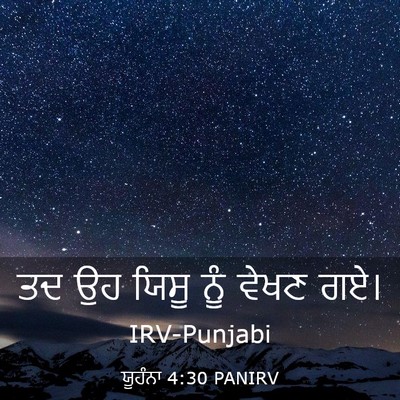 Picture 03 - ਯੂਹੰਨਾ 4:30 PANIRV - ਤਦ ਉਹ ਯਿਸੂ ਨੂੰ ਵੇਖਣ - Bible Verse Picture