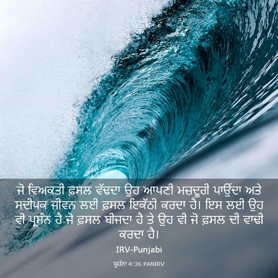 Picture 03 - ਯੂਹੰਨਾ 4:36 PANIRV - ਜੋ ਵਿਅਕਤੀ ਫ਼ਸਲ - Bible Verse Picture