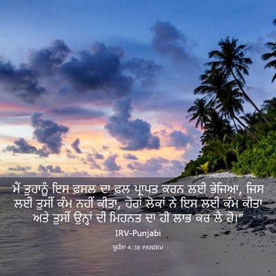 Picture 03 - ਯੂਹੰਨਾ 4:38 PANIRV - ਮੈਂ ਤੁਹਾਨੂੰ ਇਸ - Bible Verse Picture