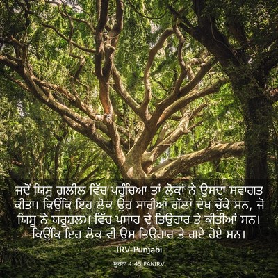 Picture 03 - ਯੂਹੰਨਾ 4:45 PANIRV - ਜਦੋਂ ਯਿਸੂ ਗਲੀਲ - Bible Verse Picture