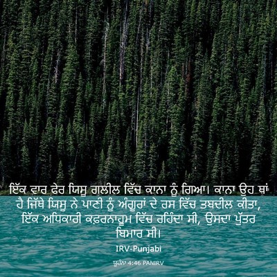 Picture 03 - ਯੂਹੰਨਾ 4:46 PANIRV - ਇੱਕ ਵਾਰ ਫੇਰ ਯਿਸੂ - Bible Verse Picture