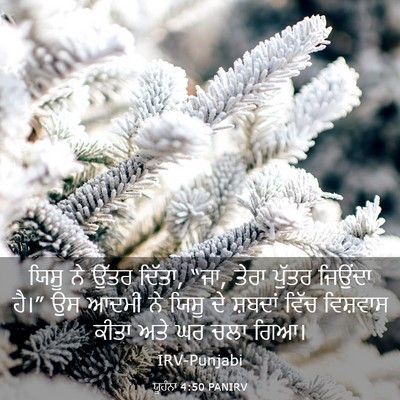 Picture 03 - ਯੂਹੰਨਾ 4:50 PANIRV - ਯਿਸੂ ਨੇ ਉੱਤਰ ਦਿੱਤਾ, - Bible Verse Picture