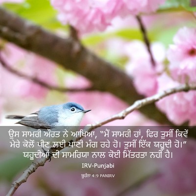Picture 03 - ਯੂਹੰਨਾ 4:9 PANIRV - ਉਸ ਸਾਮਰੀ ਔਰਤ ਨੇ - Bible Verse Picture