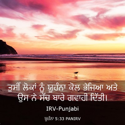 Picture 03 - ਯੂਹੰਨਾ 5:33 PANIRV - ਤੁਸੀਂ ਲੋਕਾਂ ਨੂੰ - Bible Verse Picture