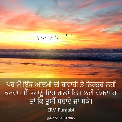 Picture 03 - ਯੂਹੰਨਾ 5:34 PANIRV - ਪਰ ਮੈਂ ਇੱਕ ਆਦਮੀ ਦੀ - Bible Verse Picture