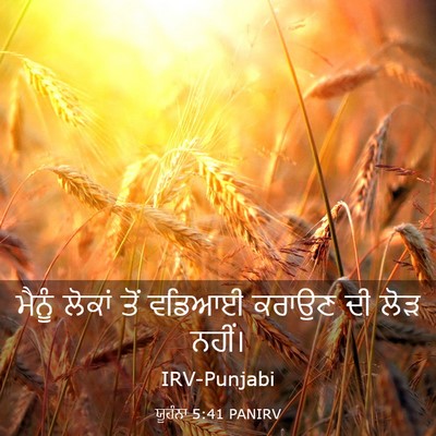 Picture 03 - ਯੂਹੰਨਾ 5:41 PANIRV - ਮੈਨੂੰ ਲੋਕਾਂ ਤੋਂ - Bible Verse Picture