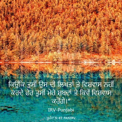 Picture 03 - ਯੂਹੰਨਾ 5:47 PANIRV - ਕਿਉਂਕਿ ਤੁਸੀਂ ਉਸ ਦੀ - Bible Verse Picture