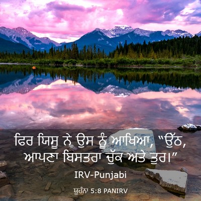 Picture 03 - ਯੂਹੰਨਾ 5:8 PANIRV - ਫਿਰ ਯਿਸੂ ਨੇ ਉਸ ਨੂੰ - Bible Verse Picture