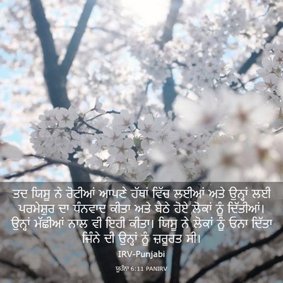 Picture 03 - ਯੂਹੰਨਾ 6:11 PANIRV - ਤਦ ਯਿਸੂ ਨੇ ਰੋਟੀਆਂ - Bible Verse Picture