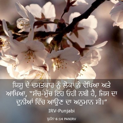 Picture 03 - ਯੂਹੰਨਾ 6:14 PANIRV - ਯਿਸੂ ਦੇ ਚਮਤਕਾਰ ਨੂੰ - Bible Verse Picture