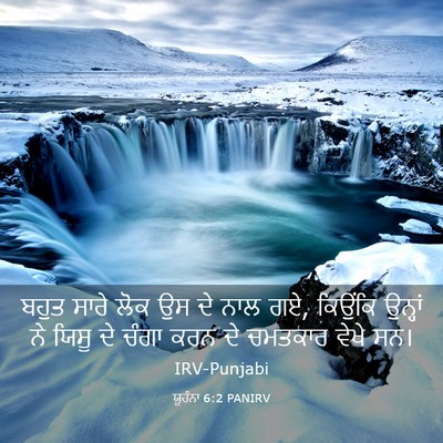 Picture 03 - ਯੂਹੰਨਾ 6:2 PANIRV - ਬਹੁਤ ਸਾਰੇ ਲੋਕ ਉਸ ਦੇ - Bible Verse Picture