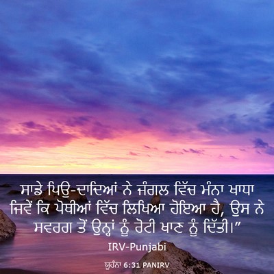 Picture 03 - ਯੂਹੰਨਾ 6:31 PANIRV - ਸਾਡੇ ਪਿਉ-ਦਾਦਿਆਂ ਨੇ - Bible Verse Picture
