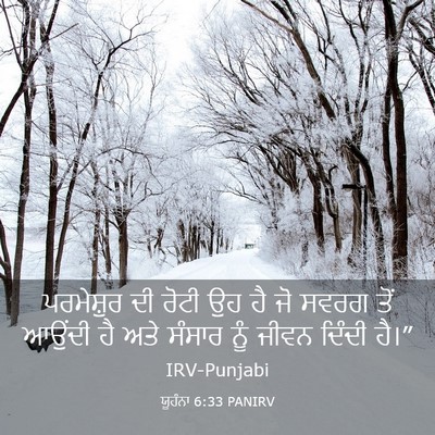 Picture 03 - ਯੂਹੰਨਾ 6:33 PANIRV - ਪਰਮੇਸ਼ੁਰ ਦੀ ਰੋਟੀ - Bible Verse Picture