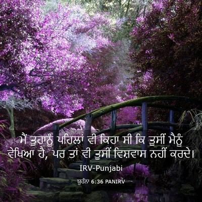 Picture 03 - ਯੂਹੰਨਾ 6:36 PANIRV - ਮੈਂ ਤੁਹਾਨੂੰ - Bible Verse Picture