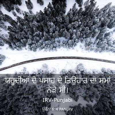 Picture 03 - ਯੂਹੰਨਾ 6:4 PANIRV - ਯਹੂਦੀਆਂ ਦੇ ਪਸਾਹ ਦੇ - Bible Verse Picture