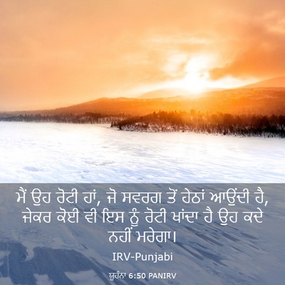 Picture 03 - ਯੂਹੰਨਾ 6:50 PANIRV - ਮੈਂ ਉਹ ਰੋਟੀ ਹਾਂ, ਜੋ - Bible Verse Picture