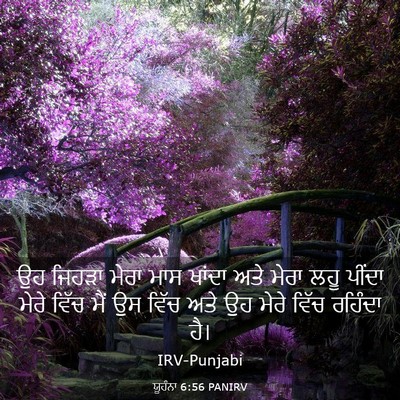 Picture 03 - ਯੂਹੰਨਾ 6:56 PANIRV - ਉਹ ਜਿਹੜਾ ਮੇਰਾ ਮਾਸ - Bible Verse Picture