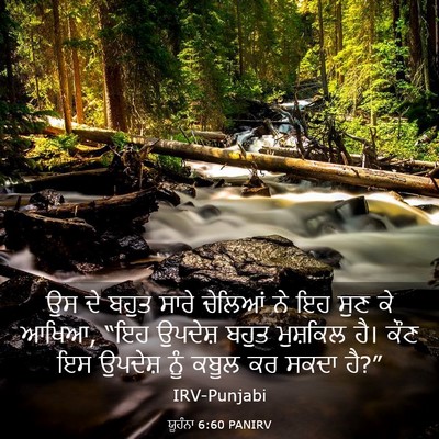 Picture 03 - ਯੂਹੰਨਾ 6:60 PANIRV - ਉਸ ਦੇ ਬਹੁਤ ਸਾਰੇ - Bible Verse Picture