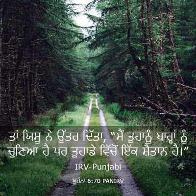Picture 03 - ਯੂਹੰਨਾ 6:70 PANIRV - ਤਾਂ ਯਿਸੂ ਨੇ ਉੱਤਰ - Bible Verse Picture