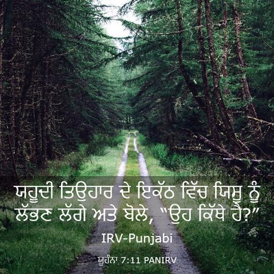 Picture 03 - ਯੂਹੰਨਾ 7:11 PANIRV - ਯਹੂਦੀ ਤਿਉਹਾਰ ਦੇ - Bible Verse Picture