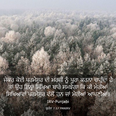 Picture 03 - ਯੂਹੰਨਾ 7:17 PANIRV - ਜੇਕਰ ਕੋਈ ਪਰਮੇਸ਼ੁਰ - Bible Verse Picture