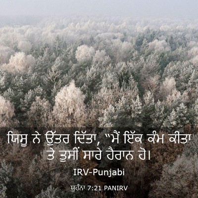 Picture 03 - ਯੂਹੰਨਾ 7:21 PANIRV - ਯਿਸੂ ਨੇ ਉੱਤਰ ਦਿੱਤਾ, - Bible Verse Picture