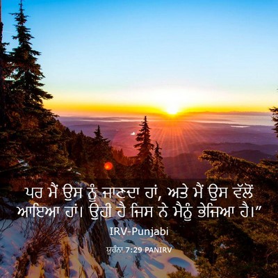 Picture 03 - ਯੂਹੰਨਾ 7:29 PANIRV - ਪਰ ਮੈਂ ਉਸ ਨੂੰ ਜਾਣਦਾ - Bible Verse Picture