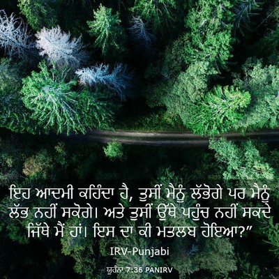 Picture 03 - ਯੂਹੰਨਾ 7:36 PANIRV - ਇਹ ਆਦਮੀ ਕਹਿੰਦਾ ਹੈ, - Bible Verse Picture