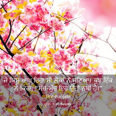 Picture 03 - ਯੂਹੰਨਾ 7:40 PANIRV - ਜੋ ਯਿਸੂ ਆਖ ਰਿਹਾ ਸੀ - Bible Verse Picture