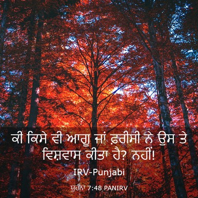 Picture 03 - ਯੂਹੰਨਾ 7:48 PANIRV - ਕੀ ਕਿਸੇ ਵੀ ਆਗੂ ਜਾਂ - Bible Verse Picture