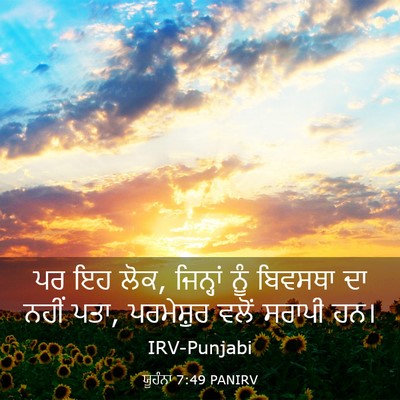 Picture 03 - ਯੂਹੰਨਾ 7:49 PANIRV - ਪਰ ਇਹ ਲੋਕ, ਜਿਨ੍ਹਾਂ - Bible Verse Picture