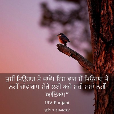Picture 03 - ਯੂਹੰਨਾ 7:8 PANIRV - ਤੁਸੀਂ ਤਿਉਹਾਰ ਤੇ - Bible Verse Picture