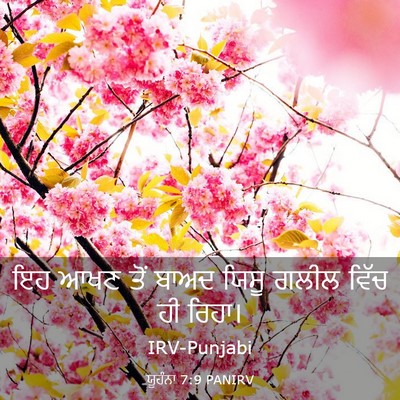 Picture 03 - ਯੂਹੰਨਾ 7:9 PANIRV - ਇਹ ਆਖਣ ਤੋਂ ਬਾਅਦ - Bible Verse Picture