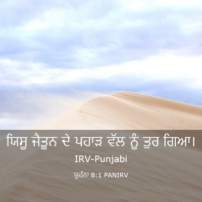 Picture 03 - ਯੂਹੰਨਾ 8:1 PANIRV - ਯਿਸੂ ਜੈਤੂਨ ਦੇ ਪਹਾੜ - Bible Verse Picture