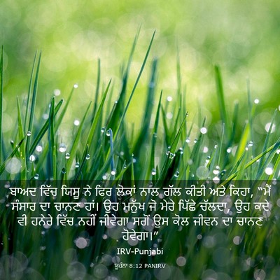 Picture 03 - ਯੂਹੰਨਾ 8:12 PANIRV - ਬਾਅਦ ਵਿੱਚ ਯਿਸੂ ਨੇ - Bible Verse Picture