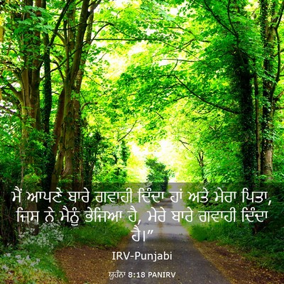 Picture 03 - ਯੂਹੰਨਾ 8:18 PANIRV - ਮੈਂ ਆਪਣੇ ਬਾਰੇ - Bible Verse Picture