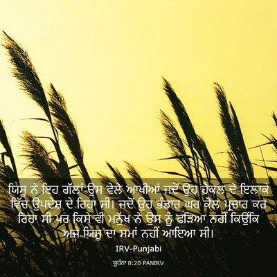 Picture 03 - ਯੂਹੰਨਾ 8:20 PANIRV - ਯਿਸੂ ਨੇ ਇਹ ਗੱਲਾਂ ਉਸ - Bible Verse Picture