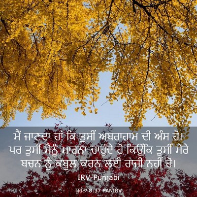 Picture 03 - ਯੂਹੰਨਾ 8:37 PANIRV - ਮੈਂ ਜਾਣਦਾ ਹਾਂ ਕਿ - Bible Verse Picture