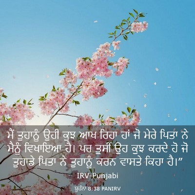 Picture 03 - ਯੂਹੰਨਾ 8:38 PANIRV - ਮੈਂ ਤੁਹਾਨੂੰ ਉਹੀ - Bible Verse Picture