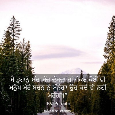 Picture 03 - ਯੂਹੰਨਾ 8:51 PANIRV - ਮੈਂ ਤੁਹਾਨੂੰ - Bible Verse Picture