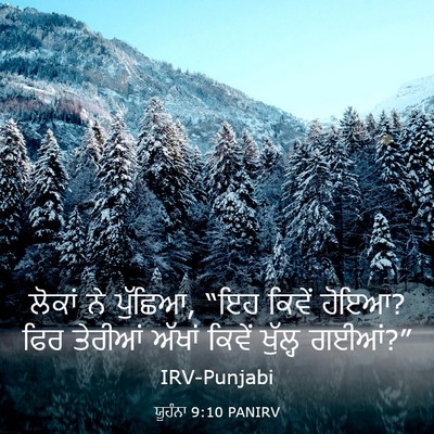 Picture 03 - ਯੂਹੰਨਾ 9:10 PANIRV - ਲੋਕਾਂ ਨੇ ਪੁੱਛਿਆ, - Bible Verse Picture