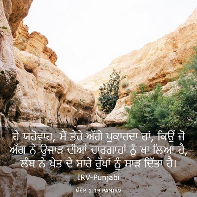 Picture 03 - ਯੋਏਲ 1:19 PANIRV - ਹੇ ਯਹੋਵਾਹ, ਮੈਂ ਤੇਰੇ - Bible Verse Picture
