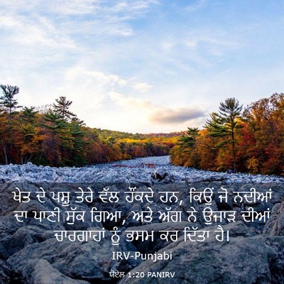 Picture 03 - ਯੋਏਲ 1:20 PANIRV - ਖੇਤ ਦੇ ਪਸ਼ੂ ਤੇਰੇ - Bible Verse Picture