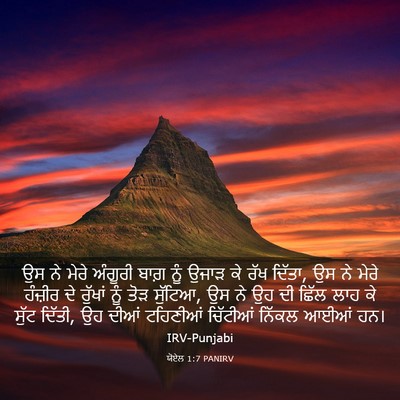 Picture 03 - ਯੋਏਲ 1:7 PANIRV - ਉਸ ਨੇ ਮੇਰੇ ਅੰਗੂਰੀ - Bible Verse Picture