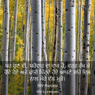Picture 03 - ਯੋਏਲ 2:12 PANIRV - ਪਰ ਹੁਣ ਵੀ, ਯਹੋਵਾਹ - Bible Verse Picture
