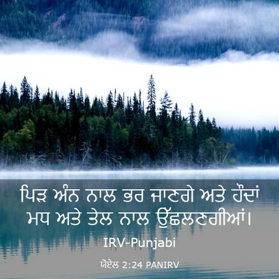 Picture 03 - ਯੋਏਲ 2:24 PANIRV - ਪਿੜ ਅੰਨ ਨਾਲ ਭਰ - Bible Verse Picture