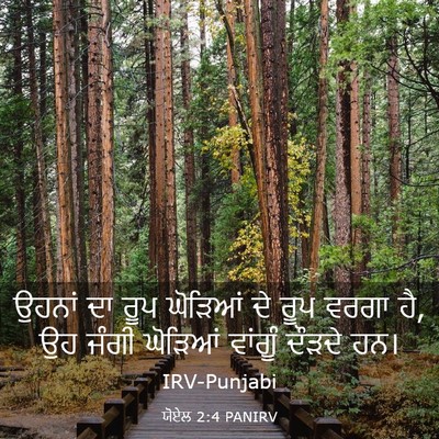 Picture 03 - ਯੋਏਲ 2:4 PANIRV - ਉਹਨਾਂ ਦਾ ਰੂਪ - Bible Verse Picture