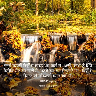 Picture 03 - ਯੋਏਲ 3:13 PANIRV - ਦਾਤੀ ਚਲਾਓ ਕਿਉਂ ਜੋ - Bible Verse Picture